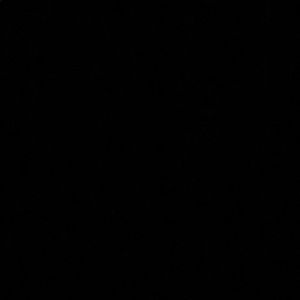 Meet your Posher, Wesley